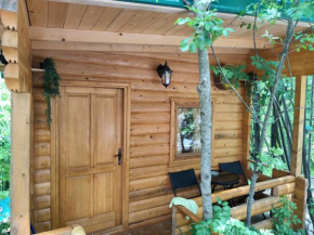Still cabin